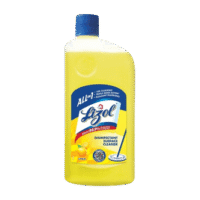 Lizol Disinfectant Surface Cleaner Citrus 500ml