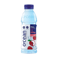 O'cean Fruit Drink High in Vitamin C 500ml